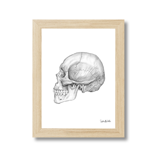 Cranium (easel back)