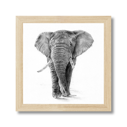 Gentle Listener (easel back)