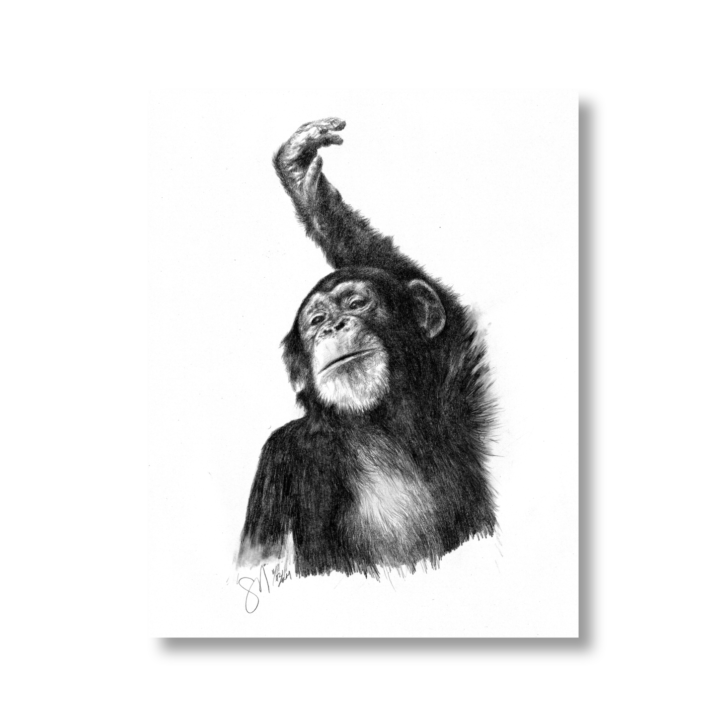 The Young One (unframed)