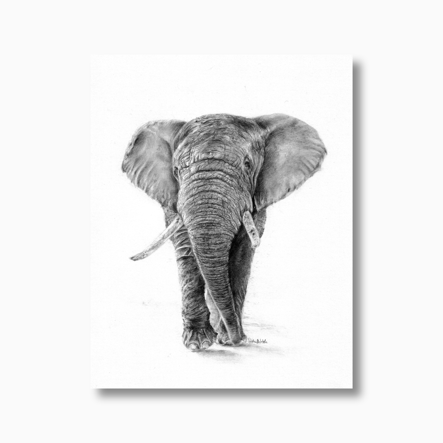 The Gentle Listener (unframed)