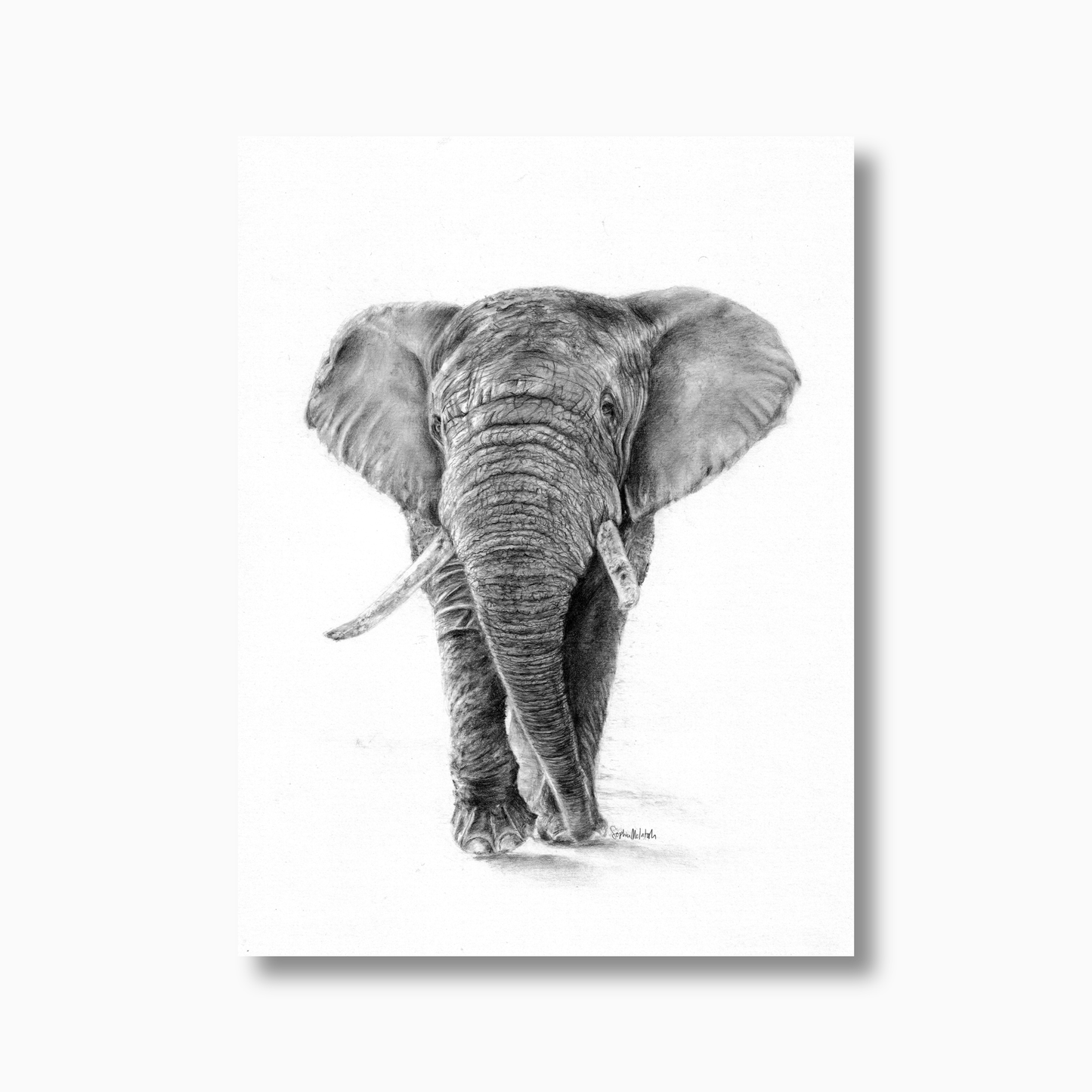 The Gentle Listener (unframed)