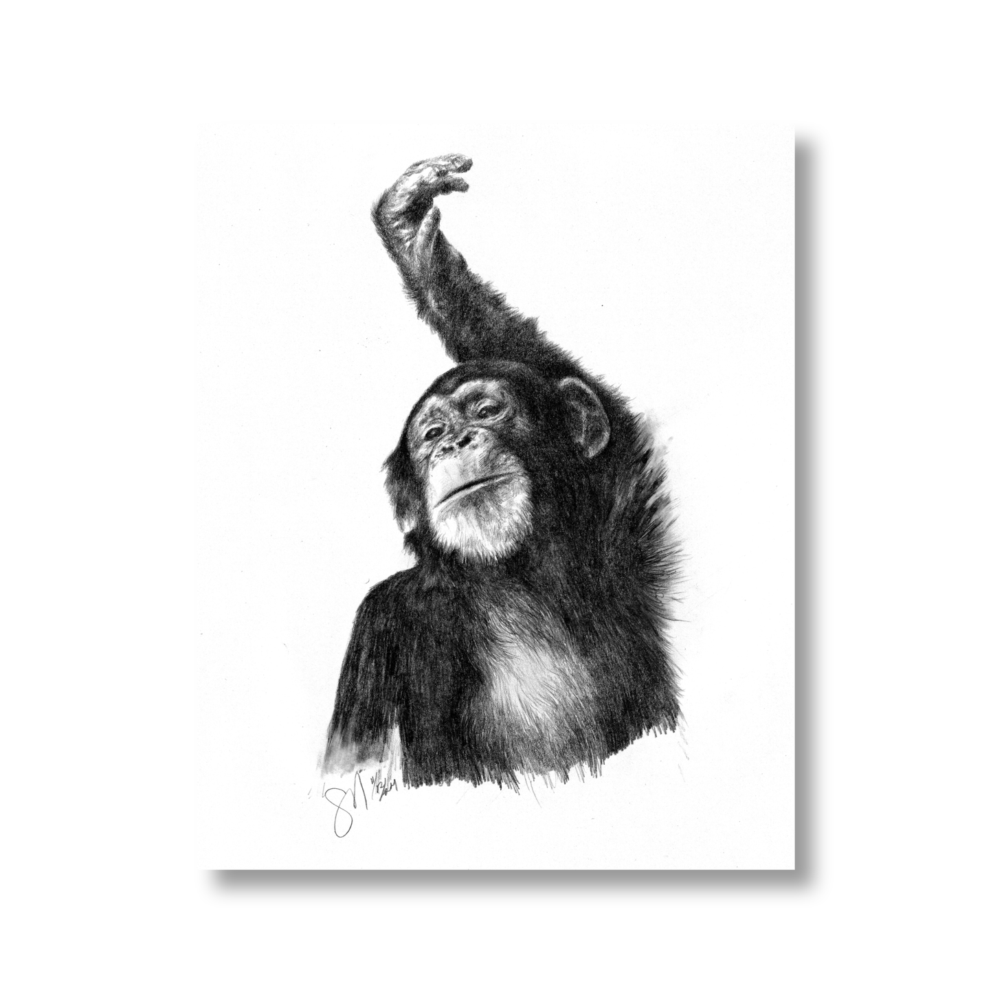 The Young One (unframed)