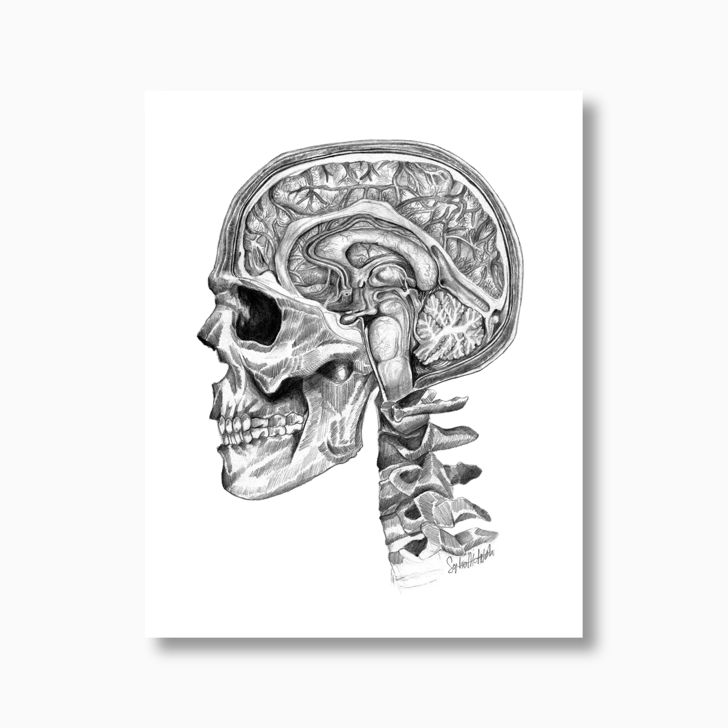 Designer Brain (unframed)