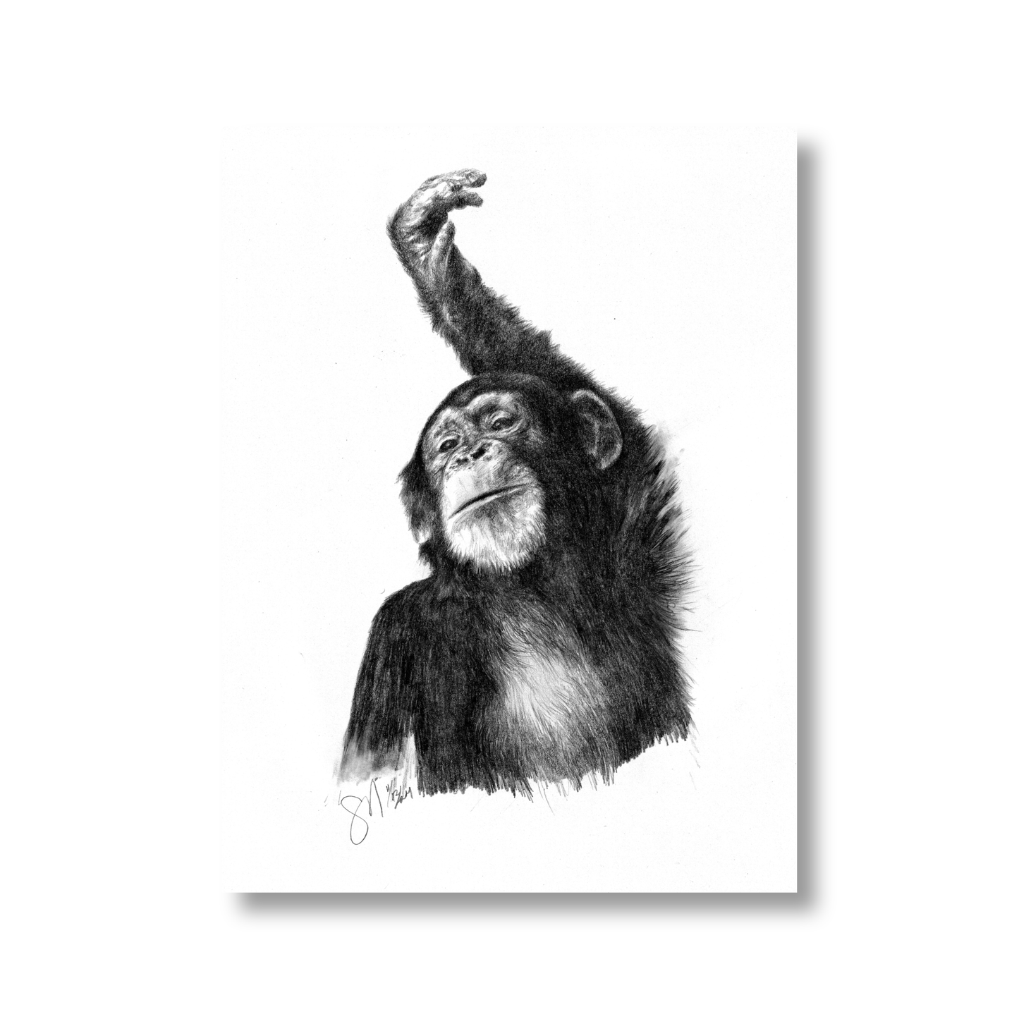 The Young One (unframed)