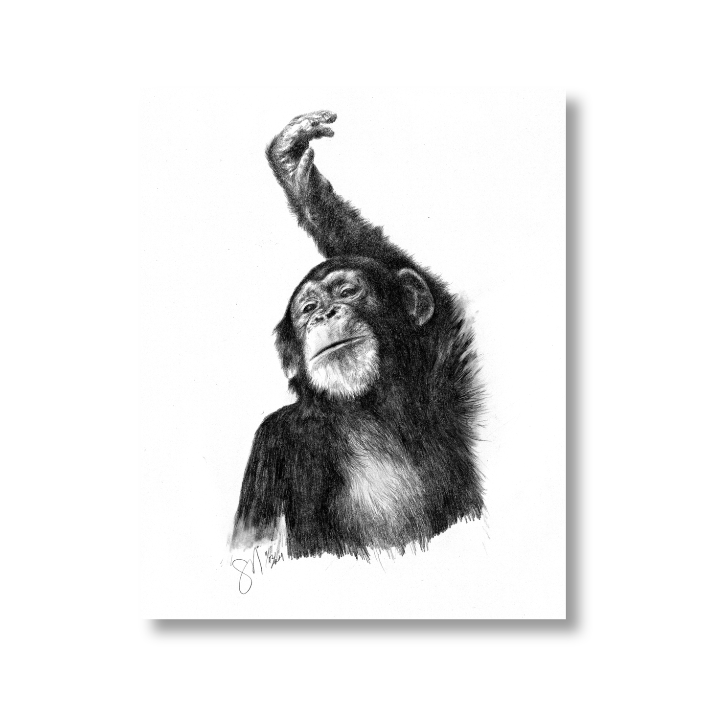 The Young One (unframed)