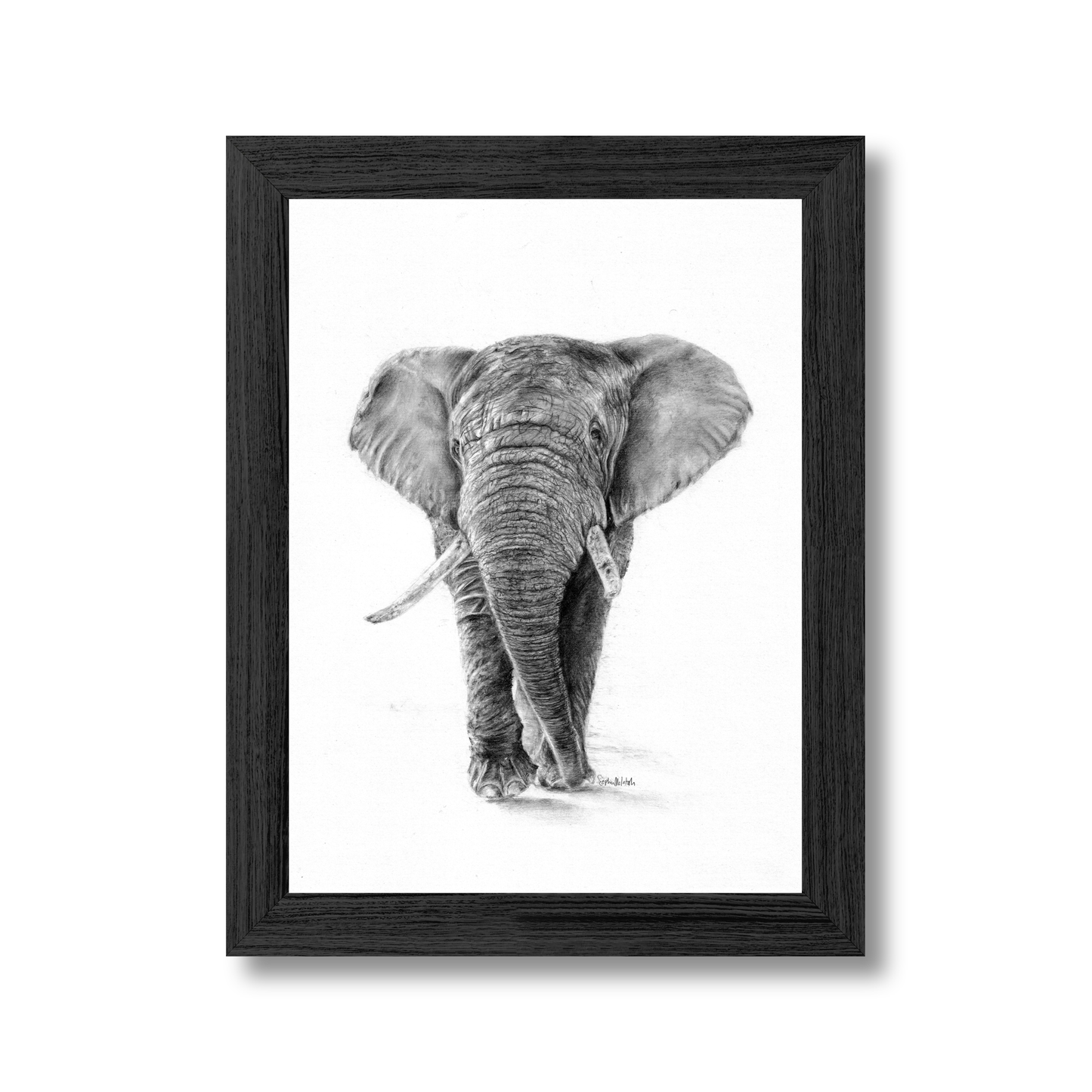 The Silent Listener (easel back)