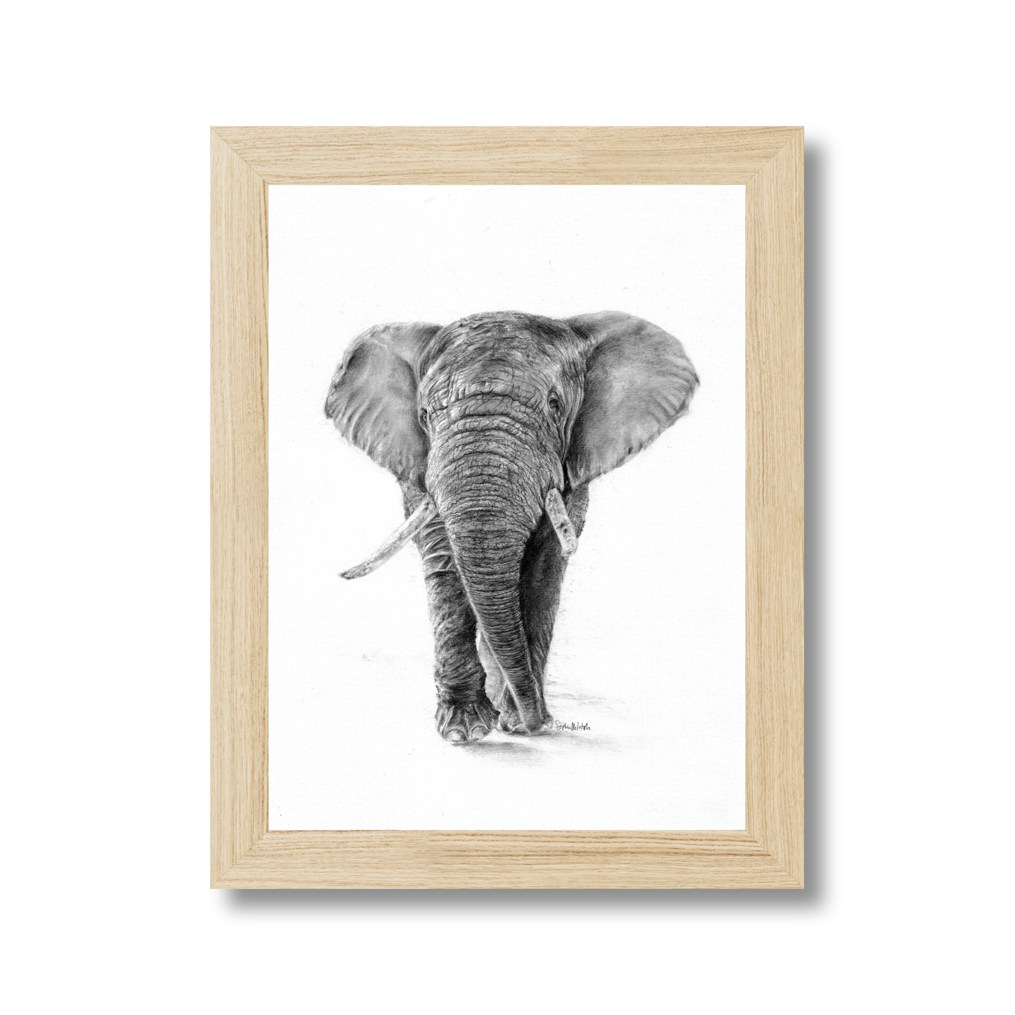 The Silent Listener (easel back)