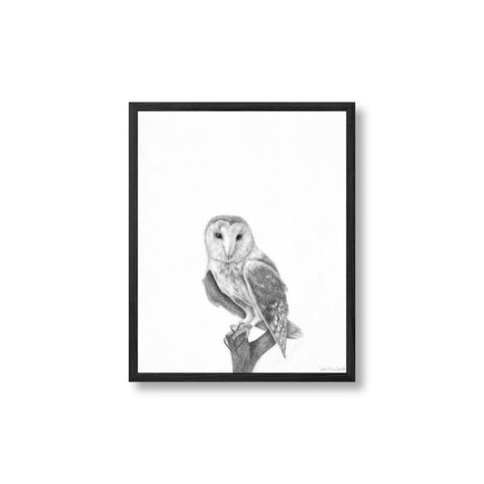 Barn Owl Commission for Alexander