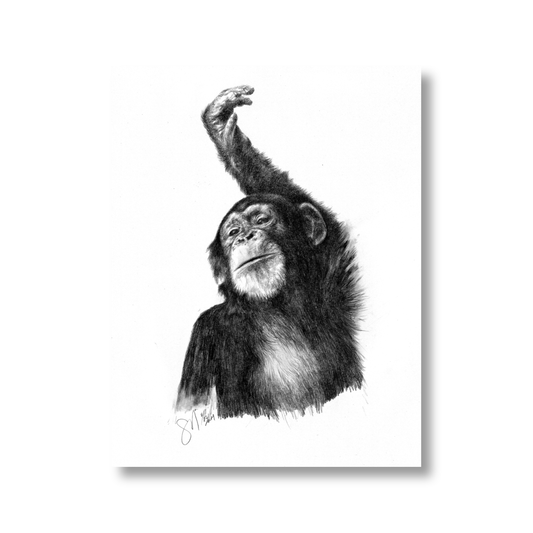 The Young One (unframed)