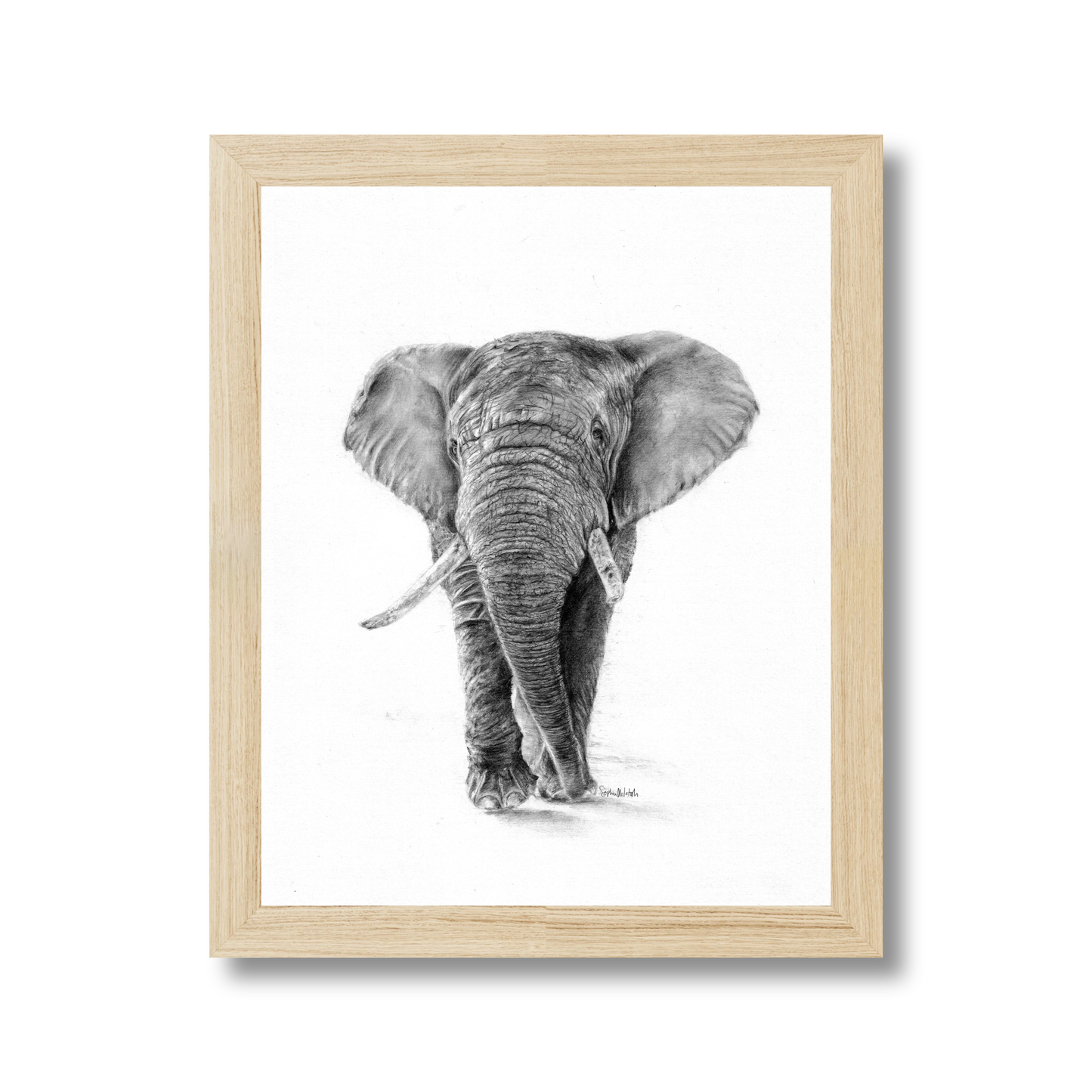 The Silent Listener (easel back)