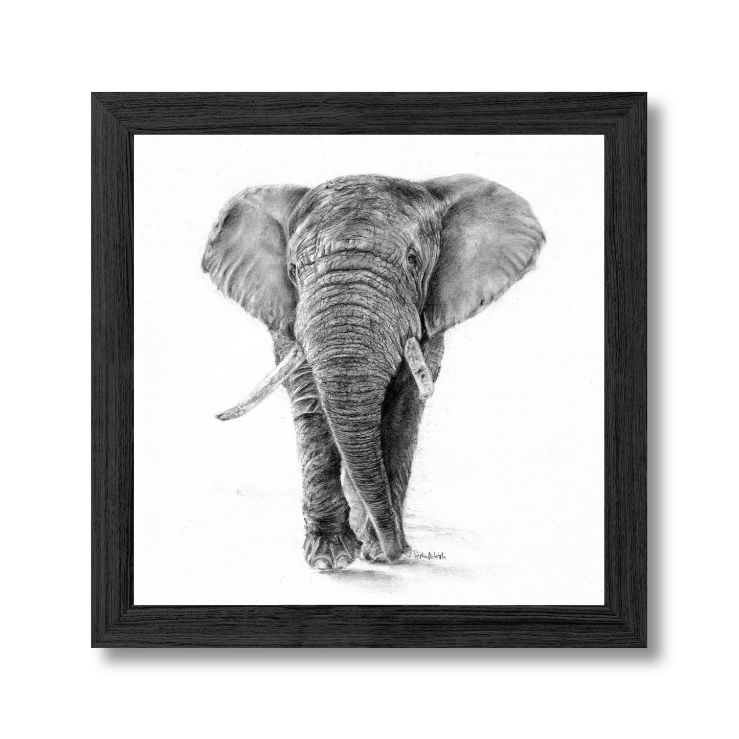 The Silent Listener (easel back)