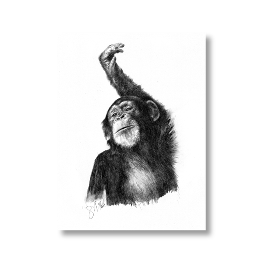 The Young One (unframed)