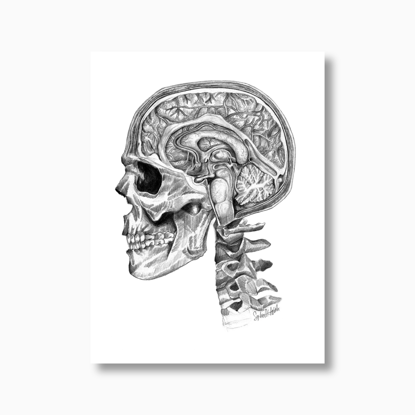 Designer Brain (unframed)