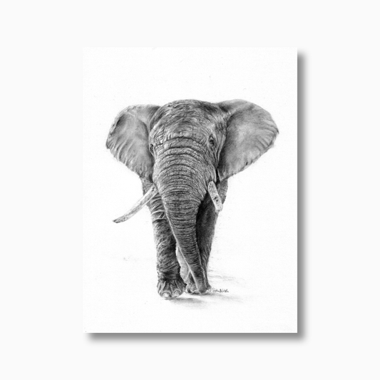 The Gentle Listener (unframed)