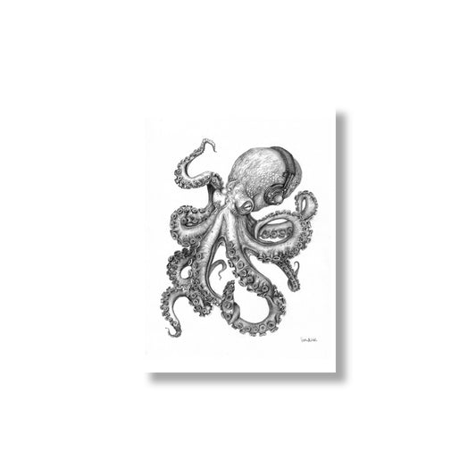 Cephalotunes