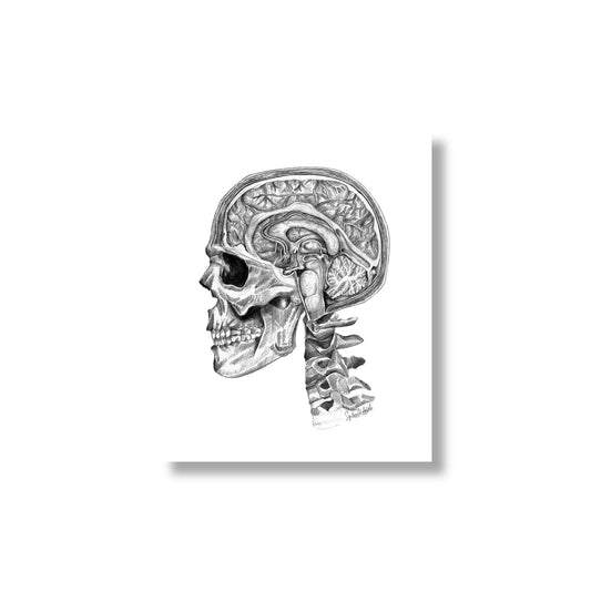 Designer Brain