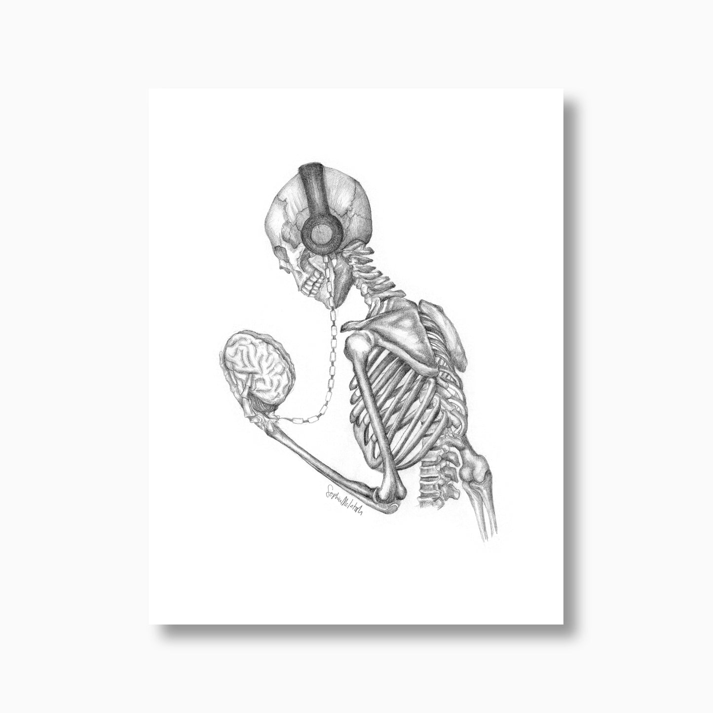 Skelly Tones (unframed)
